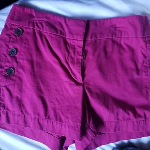 Loft Shorts